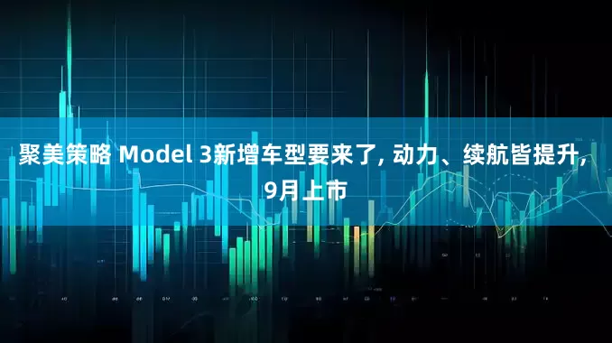 聚美策略 Model 3新增车型要来了, 动力、续航皆提升, 9月上市