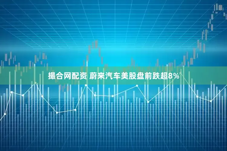 撮合网配资 蔚来汽车美股盘前跌超8%